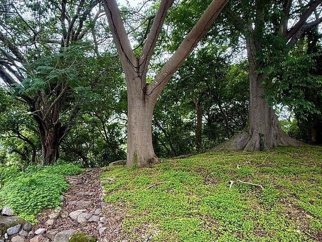 place photo 33