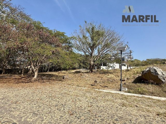 place photo 23