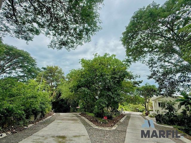 place photo 35