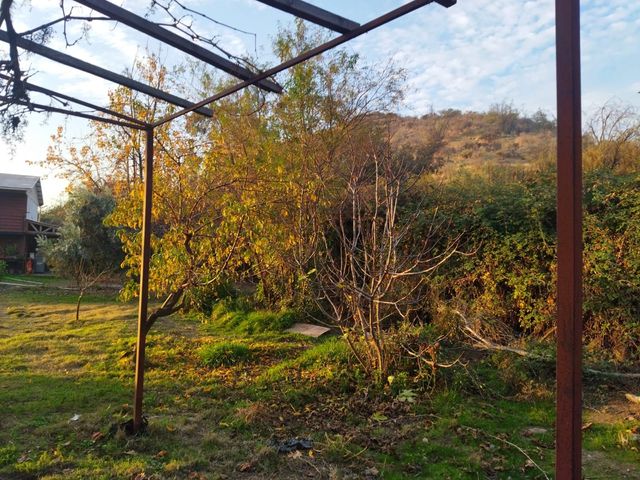 place photo 39