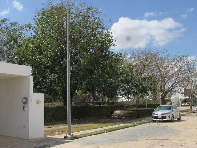 place photo 30