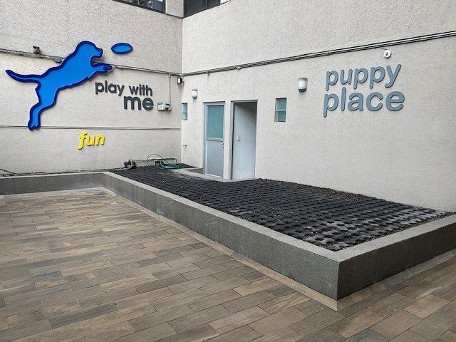 place photo 28