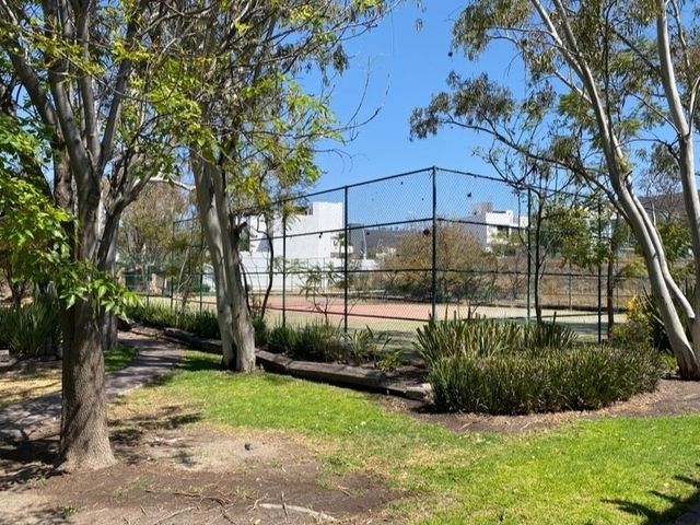 place photo 13