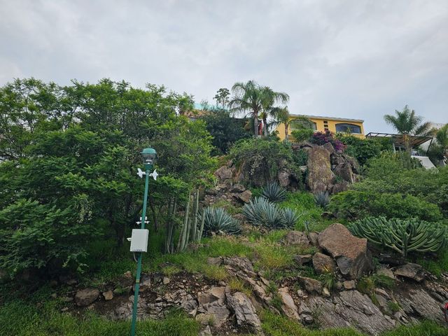 place photo 36