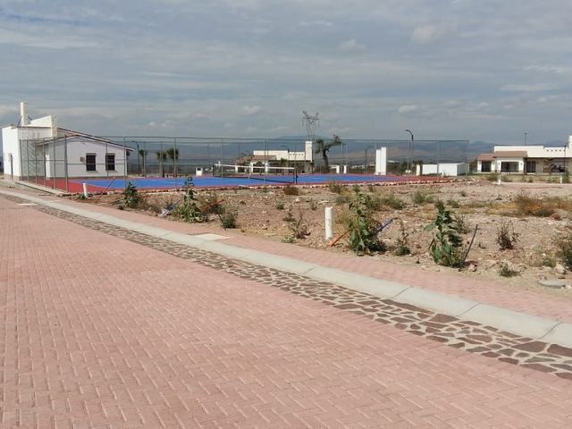 place photo 15