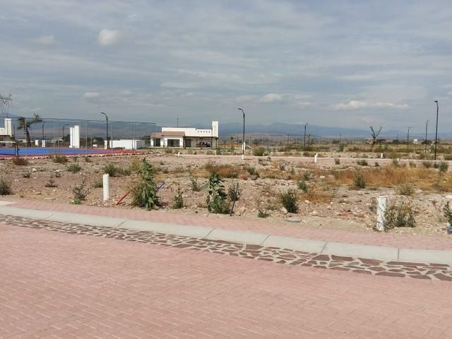 place photo 11