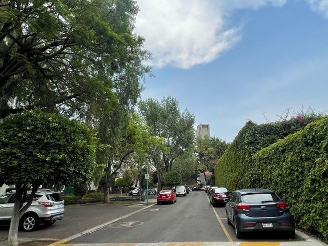 place photo 36