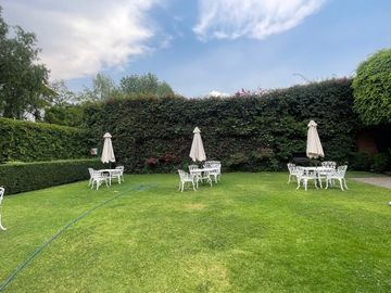 place photo 41