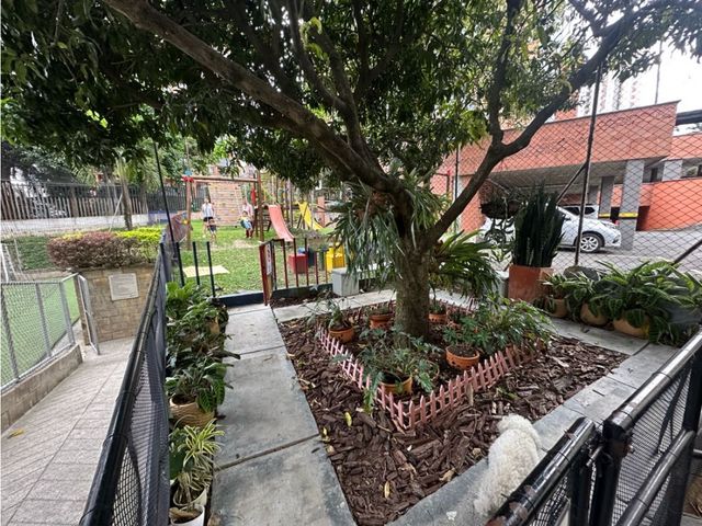 place photo 25