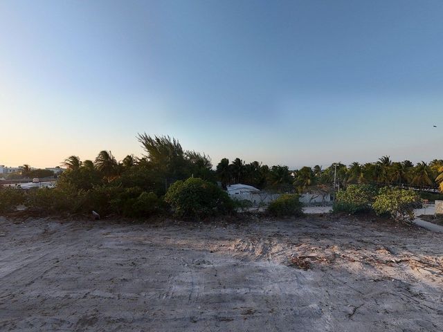 place photo 28