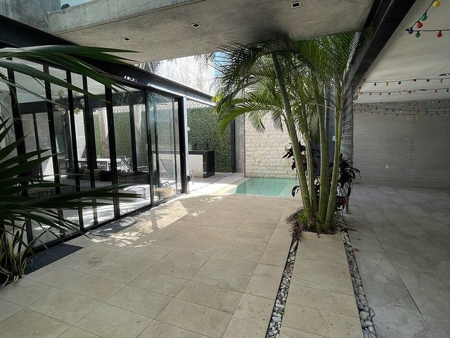 place photo 46