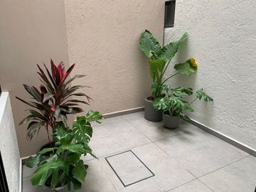 place photo 32