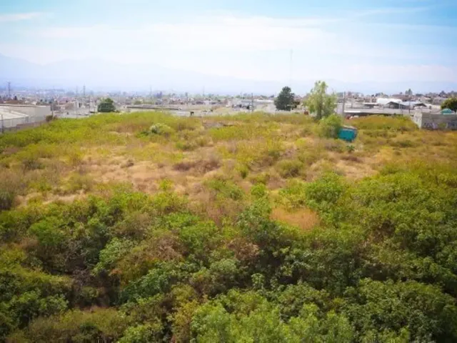 Terreno en renta en Praderas del Quinceo, Morelia, Michoacán de Ocampo