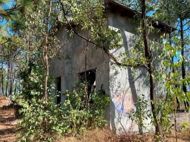 place photo 3