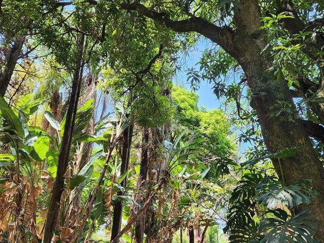 place photo 38