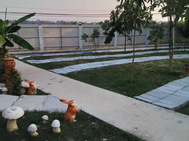 place photo 17