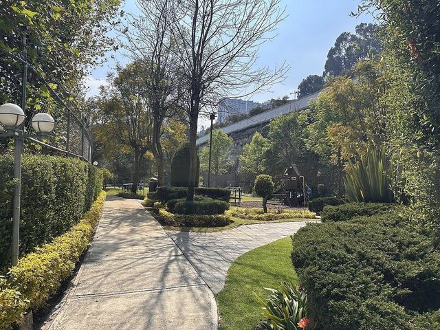 place photo 23