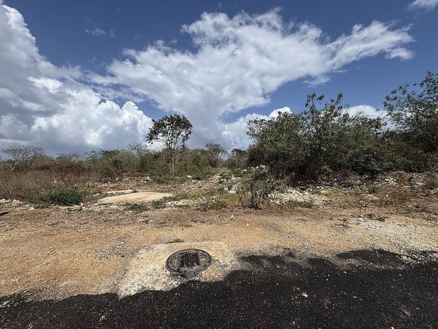 place photo 7