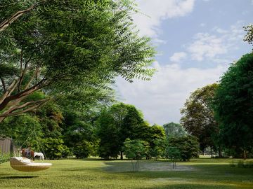 place photo 43