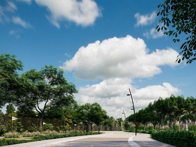 place photo 39