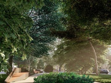 place photo 44
