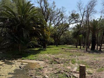 place photo 59