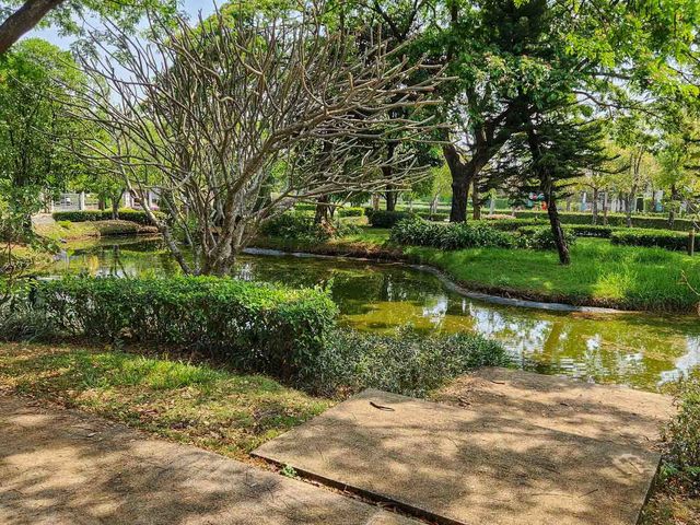 place photo 54
