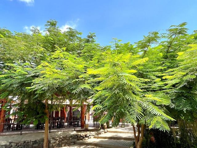 place photo 36