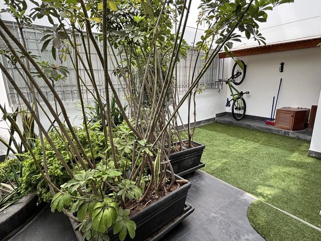 place photo 25