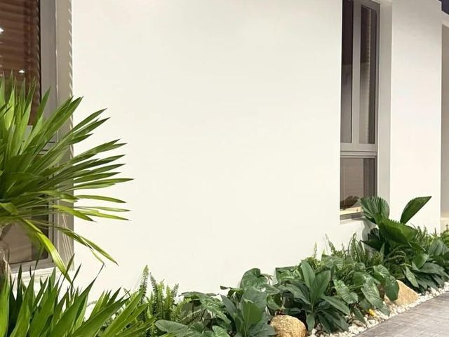 place photo 54