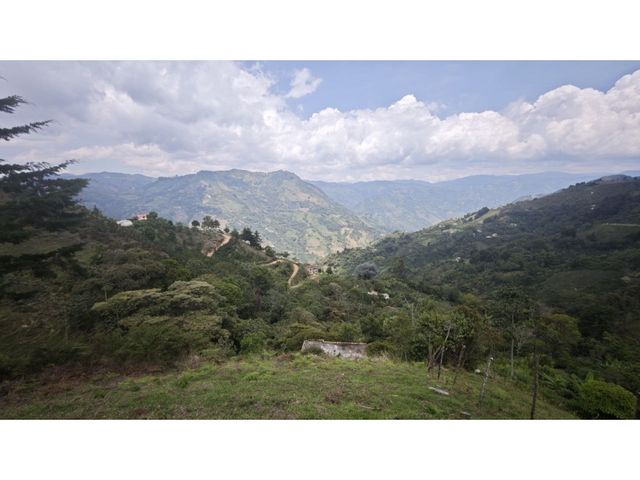 place photo 47