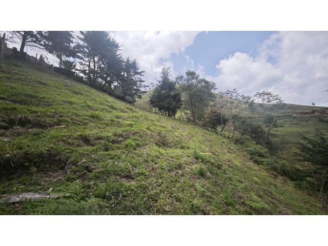 place photo 48
