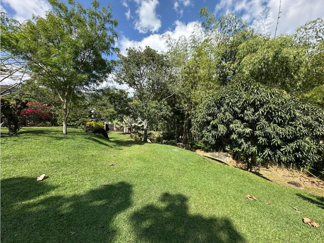 place photo 52