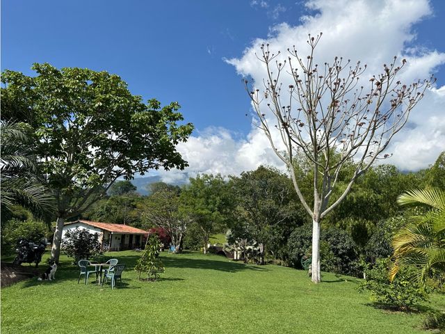 place photo 61