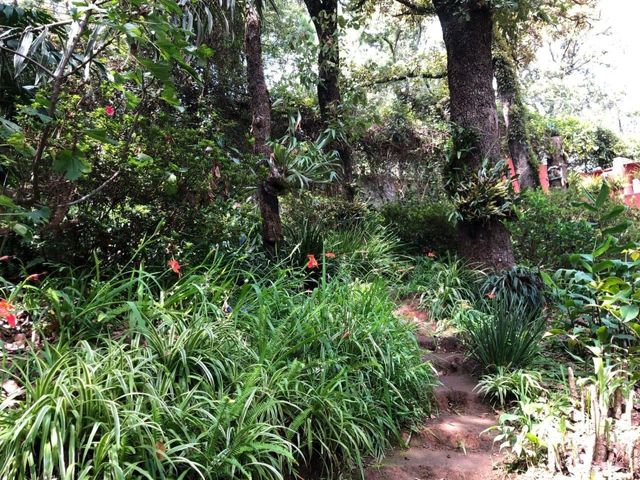 place photo 35