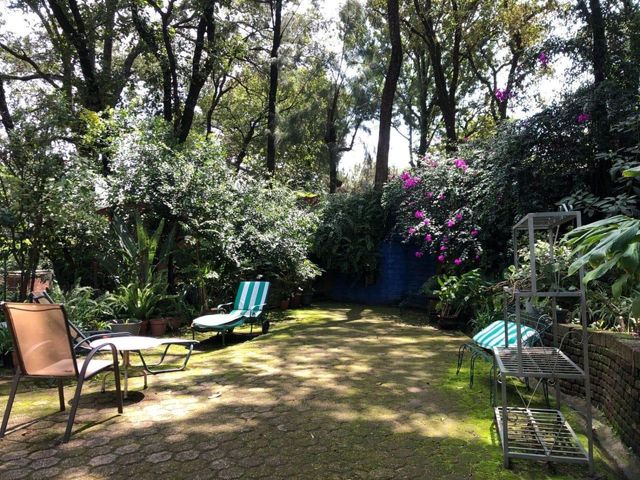 place photo 39