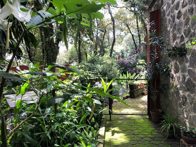 place photo 38
