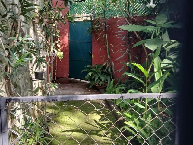 place photo 41