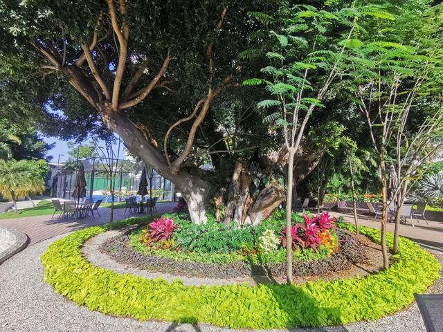place photo 26