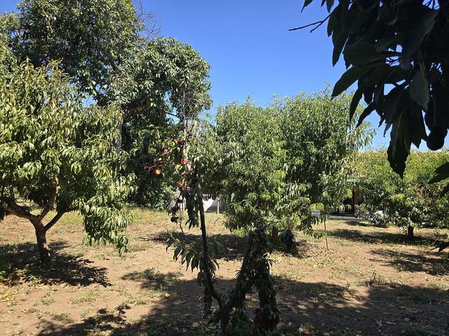 place photo 41