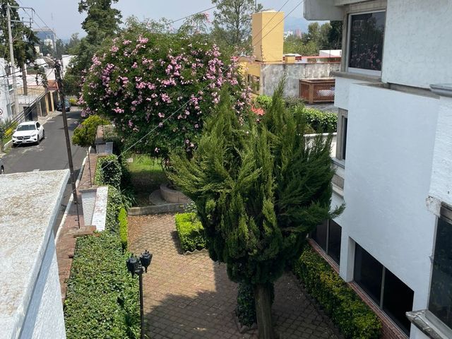 place photo 32