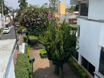 place photo 32