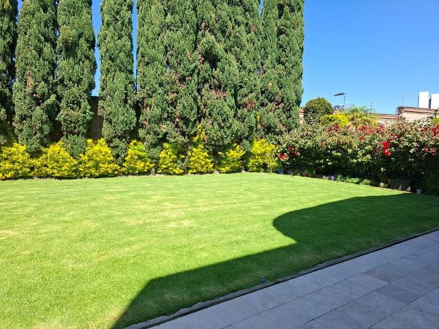 place photo 36
