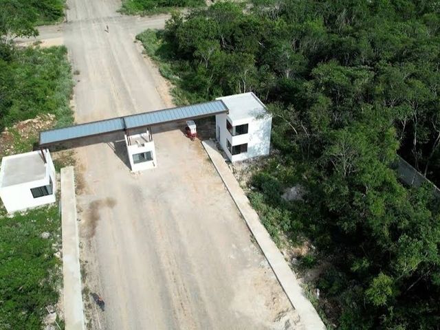 place photo 16