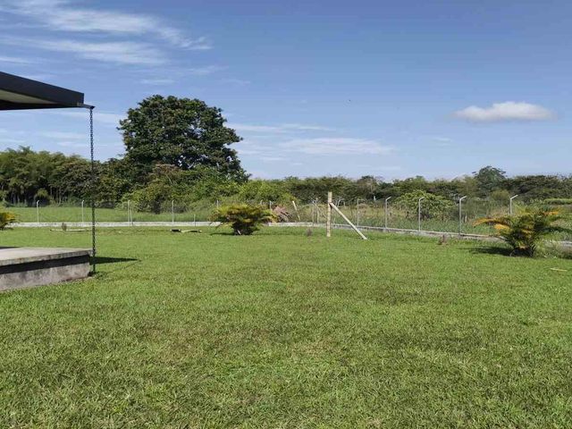 place photo 61