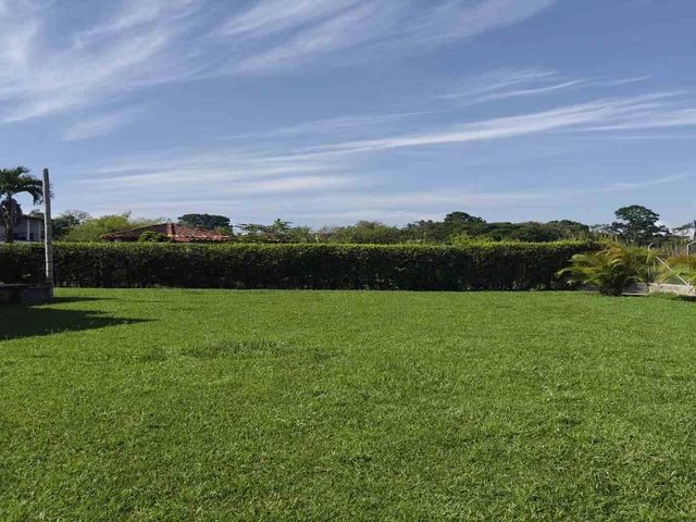 place photo 65
