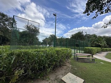 place photo 22