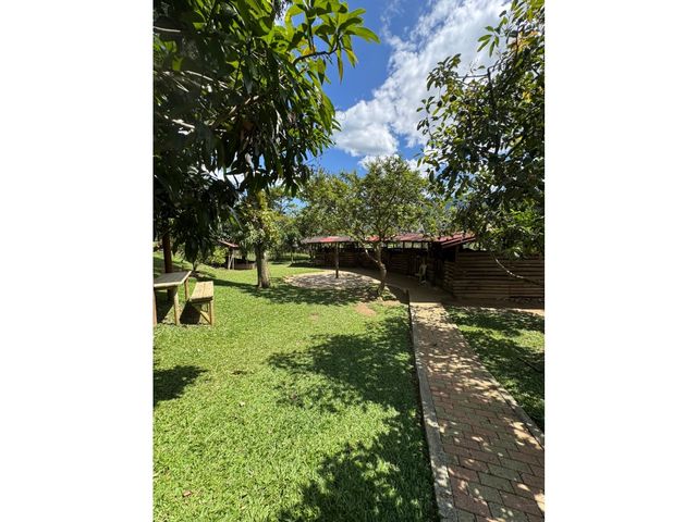 place photo 32