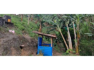 place photo 39