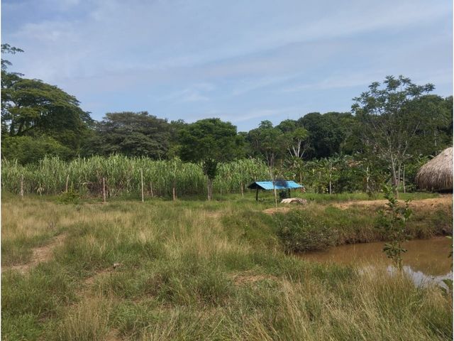 place photo 39